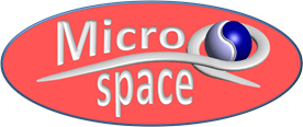 Microspace logo