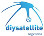 DIYSATELLITE logo