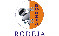 Rodeja Space Technology India logo
