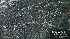 Observer-1